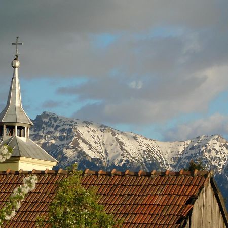 Mountain Vista Suites Zărneşti Εξωτερικό φωτογραφία