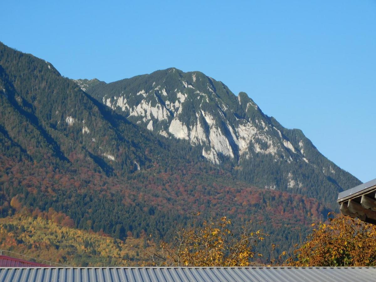 Mountain Vista Suites Zărneşti Εξωτερικό φωτογραφία