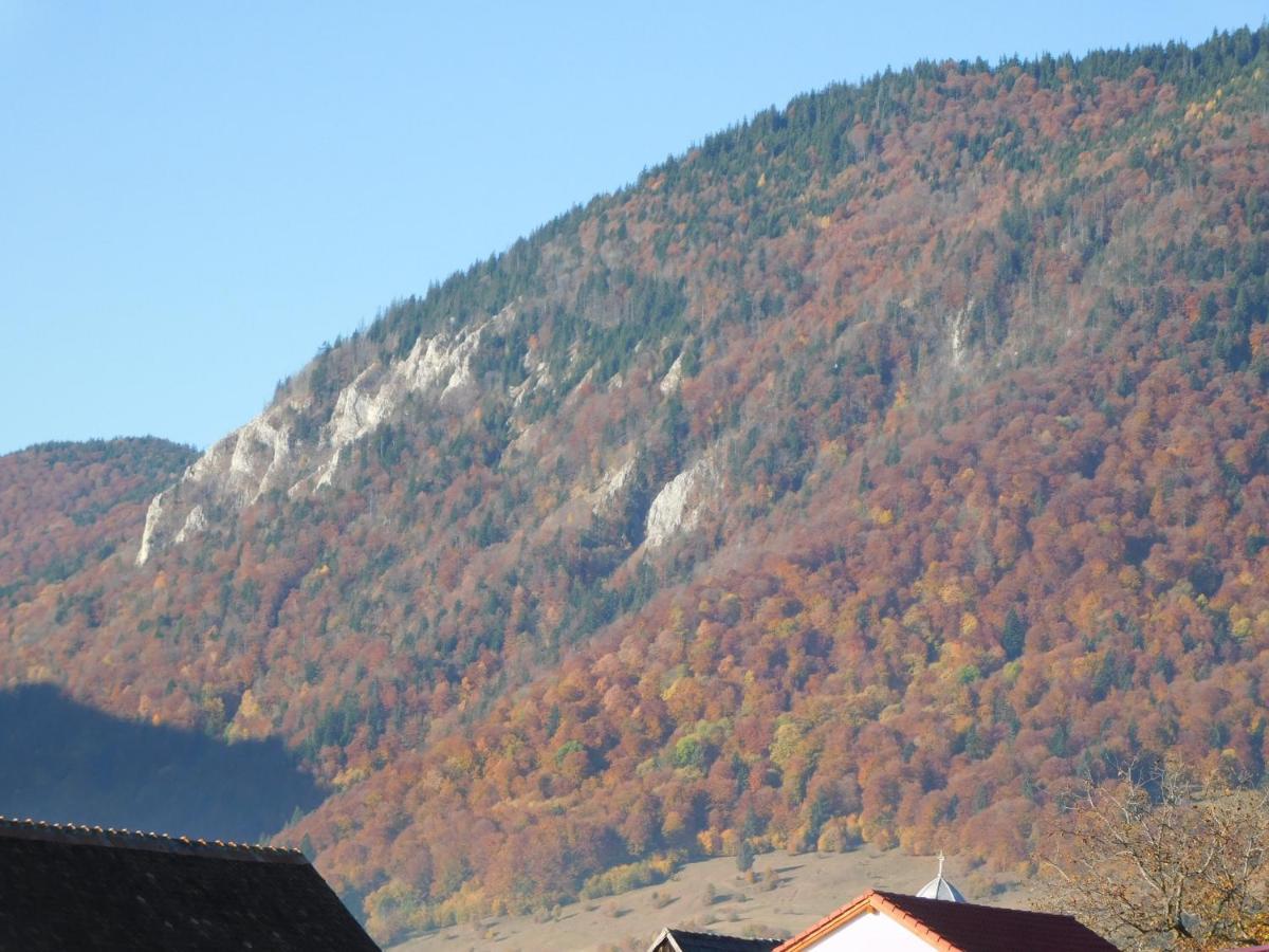 Mountain Vista Suites Zărneşti Εξωτερικό φωτογραφία