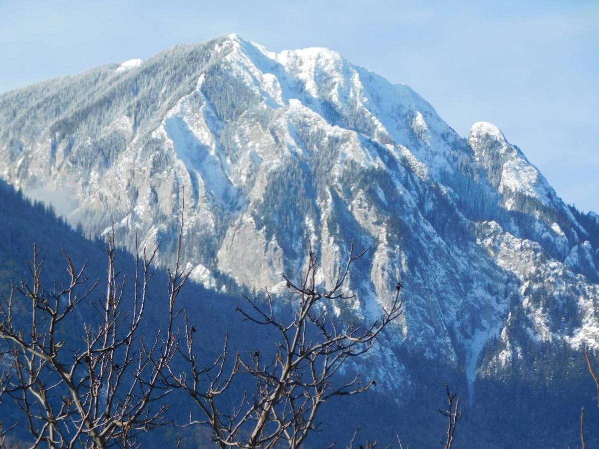Mountain Vista Suites Zărneşti Εξωτερικό φωτογραφία