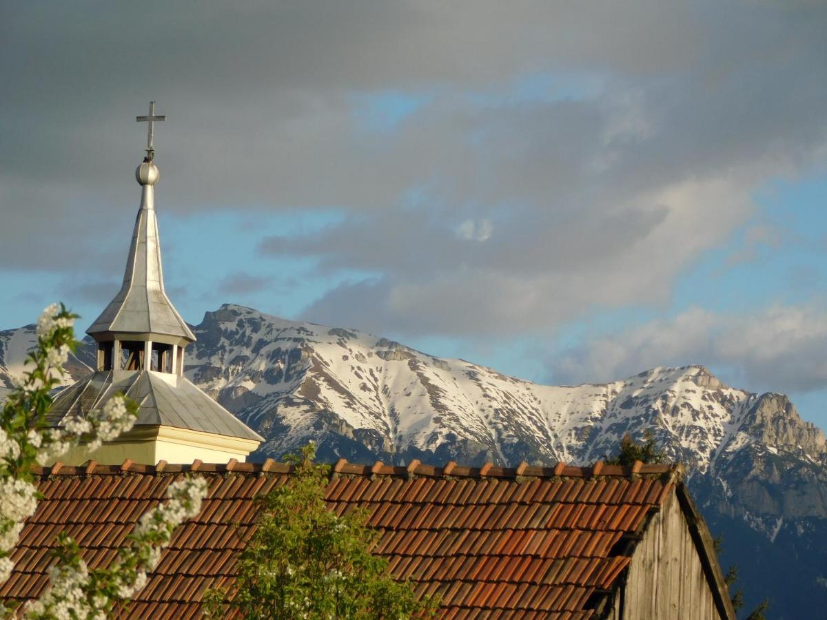 Mountain Vista Suites Zărneşti Εξωτερικό φωτογραφία