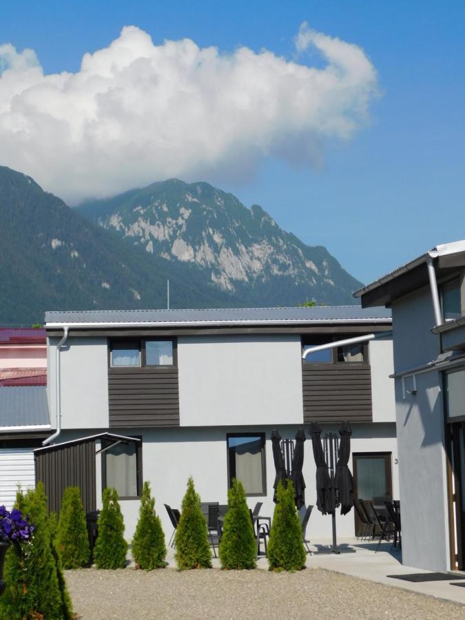 Mountain Vista Suites Zărneşti Εξωτερικό φωτογραφία