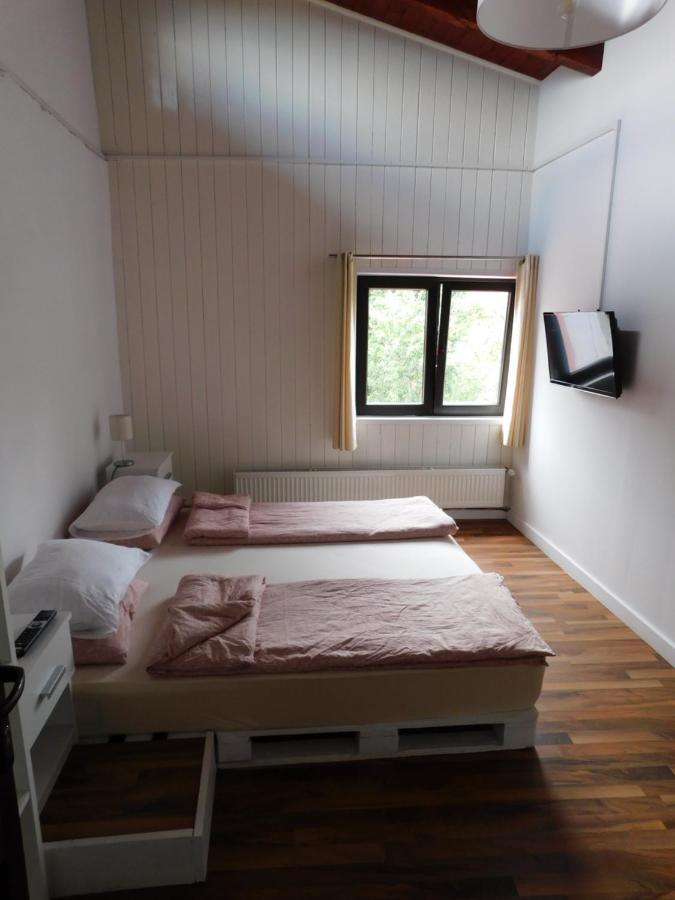 Mountain Vista Suites Zărneşti Εξωτερικό φωτογραφία
